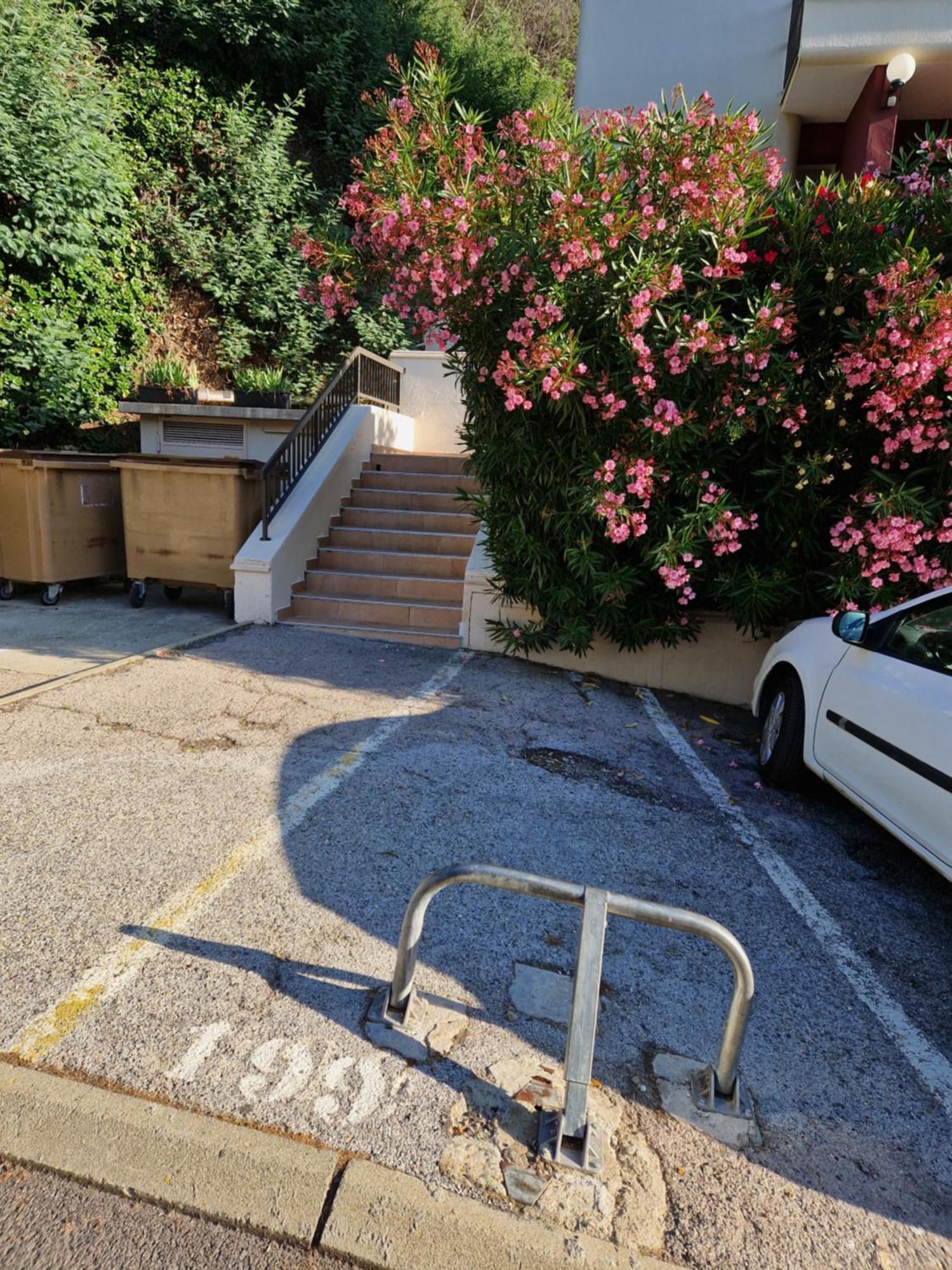 Appartement Amelie Les Bains Au Pied Des Thermes Exterior photo